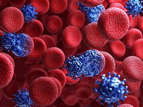 Hiv (human immunodeficiency virus) is a virus that attacks cells that help the body fight infection, making a person more vulnerable to other infections and diseases. AIDS/HIV 1 Hour, Current Evidence Based Practice Course ...