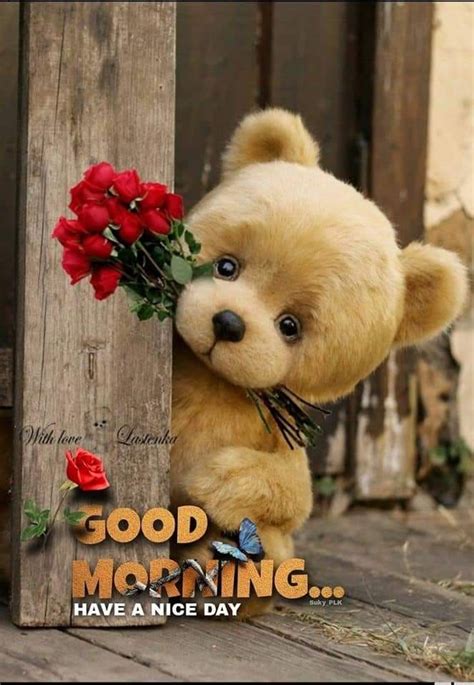 Teddy Bear With Roses Good Morning Pictures Photos And Images