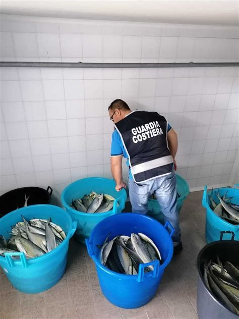 Prodotti Ittici Non Commestibili Sequestrati 700 Chili Di Pesce A