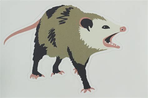 Screaming Opossum Sticker Etsy