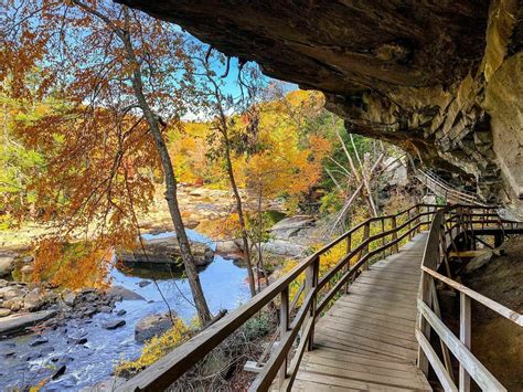 Escape To Audra State Park For A Beautiful West Virginia Nature Scene