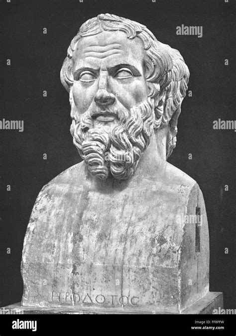 Herodotus C484 C425 B C Ngreek Historian Antique Sculpture Bust
