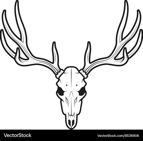 Whitetail Deer Skull Outline