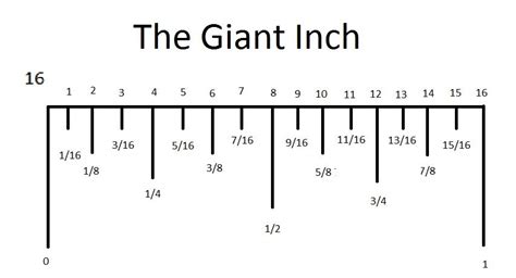 How to read a ruler and understand the fraction markings on a ruler. The Giant Inch | Reading a ruler, Ruler measurements, Ruler