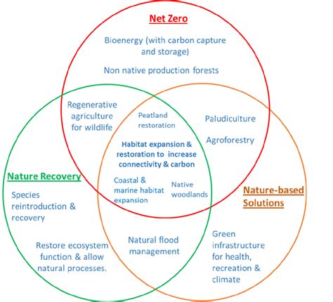 4 Examples Of Relationships Between Nature Based Solutions Nature