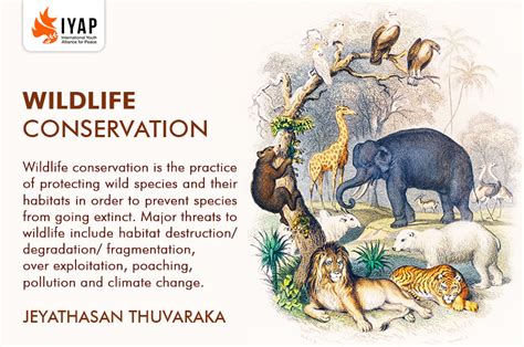 Wildlife Conservation Iyap International Youth Alliance For Peace