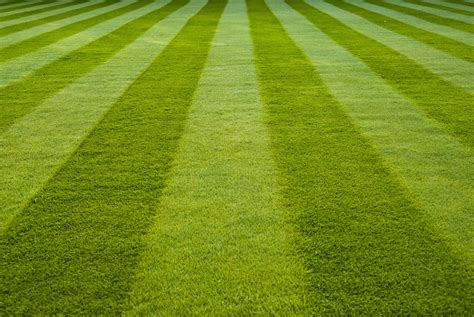 Mow Like A Pro Lawn Striping And Lawn Patterns