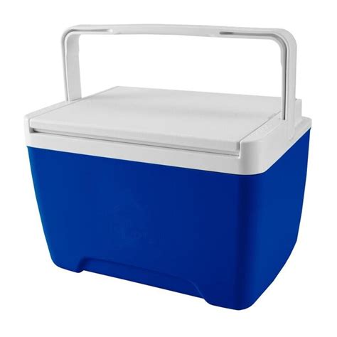 Igloo 9 Quart Insulated Chest Cooler In The Portable Coolers Department