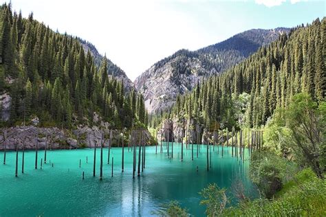 La Forêt Submergée Du Lac Kaindy Au Kazakhstan