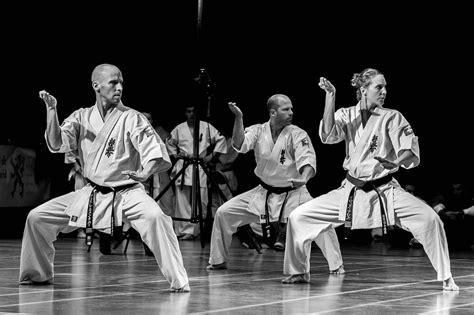 What is Kata actually good for? - Martial Tribes