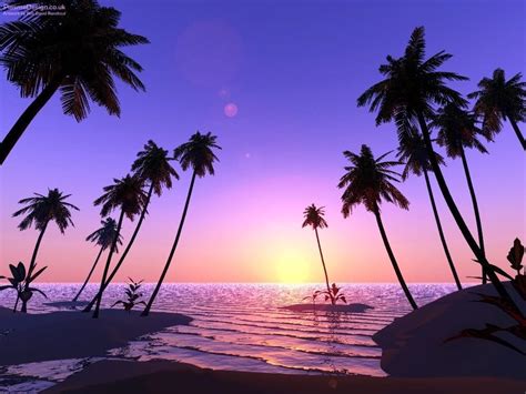 Image for Beach With Palm Trees And Sunset | Beach scene wallpaper