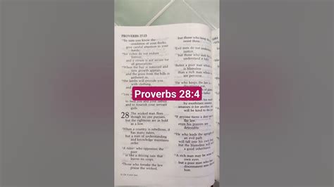 Proverbs 284 Bible Niv Those Who Forsake The Law Praise The Wicked But
