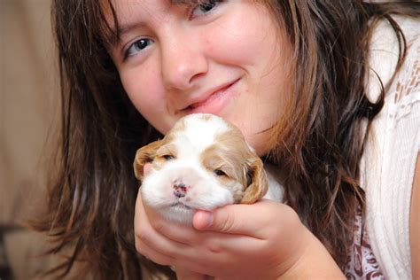 Joanna And Steveos Puppies Birth To 4 Weeks