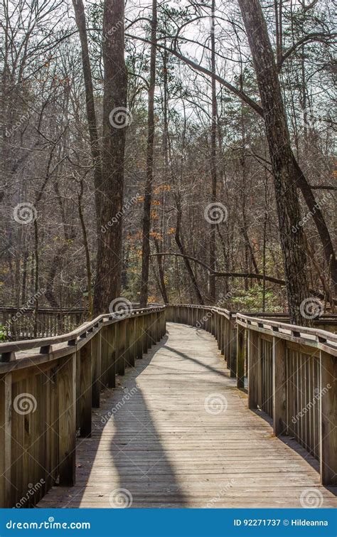 Walking Path On Wood Boardwalk Thru Woods Stock Image Image Of