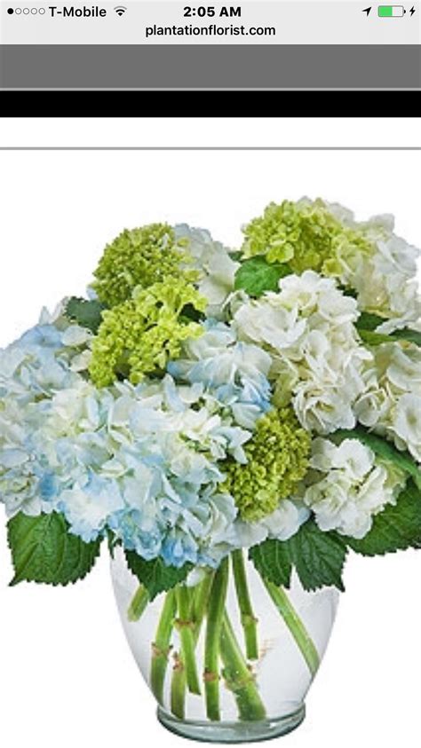 There is a lot of choice of. Pin by Clara harrick on Flowers arrangements | Flower ...