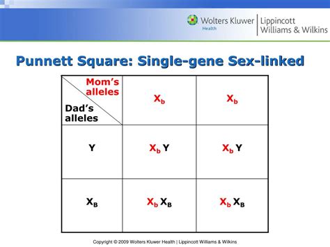 Ppt Chapter 4 Genetic And Congenital Disorders Powerpoint