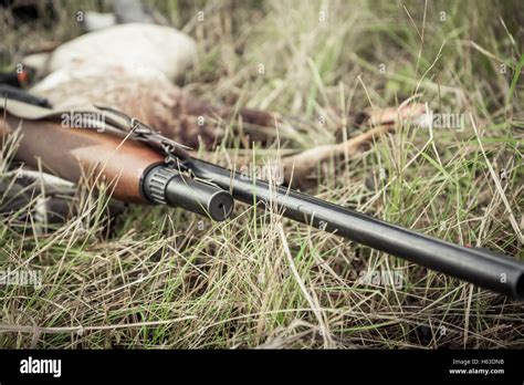 Hunting Gun On Grass During Duck Hunting Season Stock Photo Alamy