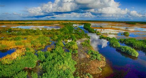 6 Facts About Florida Everglades National Park Red Ledge