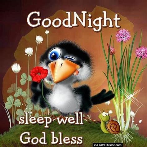 Goodnight Sleep Well God Bless Good Night Everyone Cute Good Night