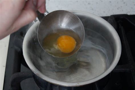 How to make poached eggs (perfectly). The trick to perfectly poached eggs - Chatelaine