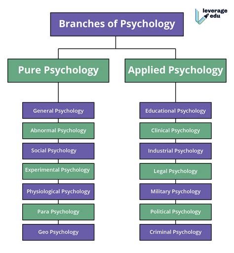 Msc Psychology Best Career Paths In Psychology 2020 Leverage Edu