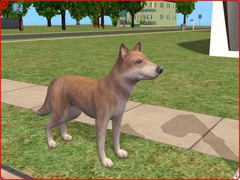 Mod The Sims Red Siberian Husky