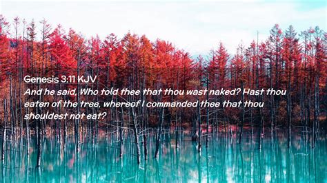 Genesis 3 11 KJV Desktop Wallpaper And He Said Who Told Thee That
