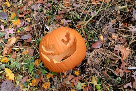 7 Frighteningly Clever Things To Do With Pumpkins After Halloween