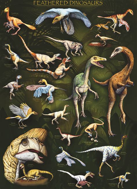 Eurographics Feathered Dinosaurs Posters 24 X 36 Over 20 Feathered