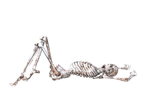 Feel free to explore, study and enjoy paintings with paintingvalley.com. Free photo 3d Skull Pose Lying Down Bones Skeleton Png ...
