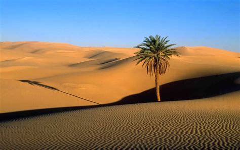 10 Photos Qui Vous Donneront Envie De Partir Dans Le Desert Tunisien