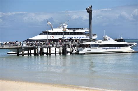 Tangalooma Beach Day Cruise Tour From Brisbane Gray Line