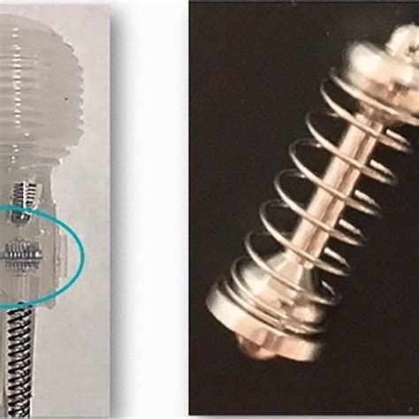 Zephyr Surgical Implants ZSI And ZSI FTM Used With Permission Download Scientific
