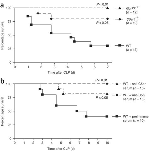 Survival Curves For Mice After Mid Grade Clpa Survival Of Wild Type