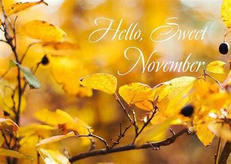Hello Sweet November Pictures Photos And Images For Facebook Tumblr
