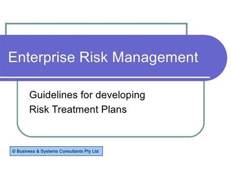 Risk Treatment Plan