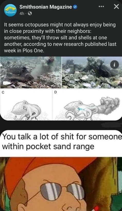 Pocket Sand Meme By Fromme01 Memedroid