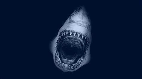 Black hd wallpapers in high quality hd and widescreen resolutions from page 1. shark screensaver - HD Desktop Wallpapers | 4k HD
