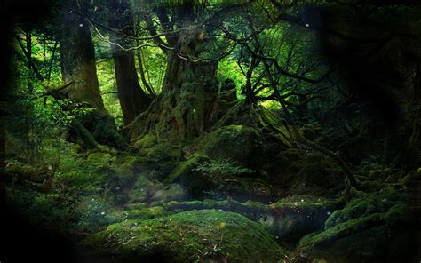 Mystical Forest By Conflictempire On Deviantart