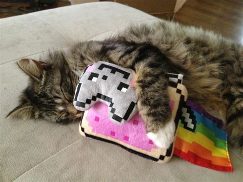 Nyan Cat Creator Chris Torres Talks Nintendo Nintendo Insider