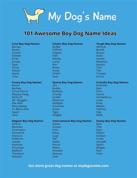 Boy Dog Names 350 Ideas For Male Puppies My Dogs Name