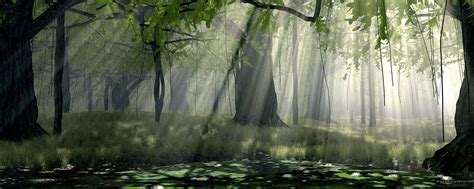 Dual Monitor Forest Wallpapers Top Free Dual Monitor Forest