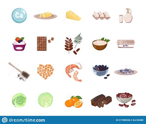 source of calcium stock vector illustration of almond 217900536
