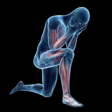 Person Kneeling Photograph By Sebastian Kaulitzki