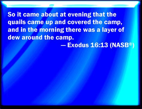 Exodus 1613 And It Came To Pass That At Even The Quails Came Up And