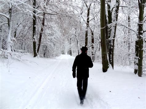 Man Walking In A Snow Covered Forest Michał Bielecki Flickr