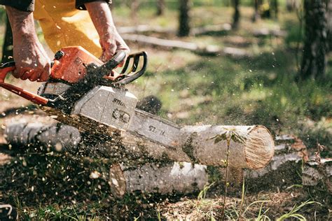 Person Holding Chainsaw · Free Stock Photo