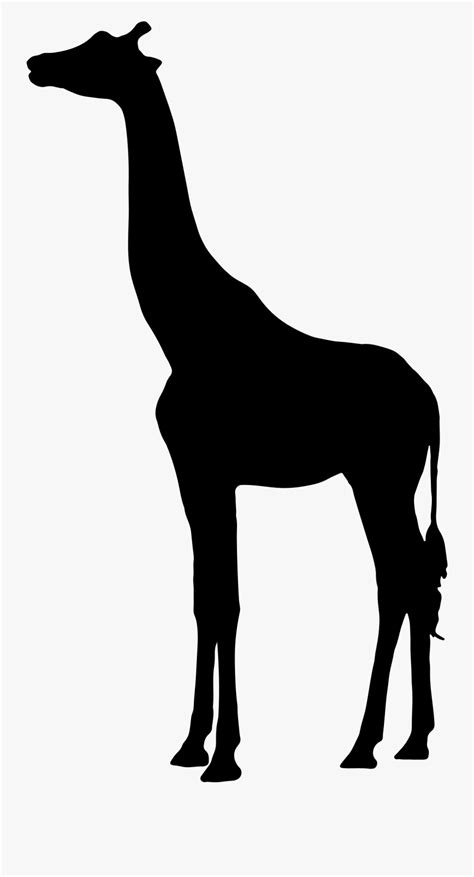 Clipart Giraffe African Animals Silhouette Free Transparent Clipart