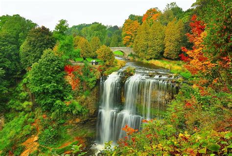 Forest Waterfall Fall Autumn Lovely View Waterfall Nature Bonito