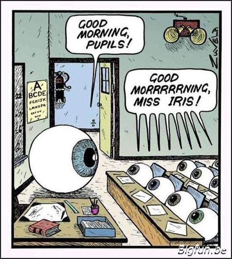 Good Morning Pupils Optometry Humor Eye Jokes Eyes Meme